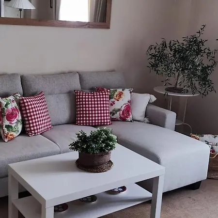 Fantastico Piso Daire Vejer de la Frontera